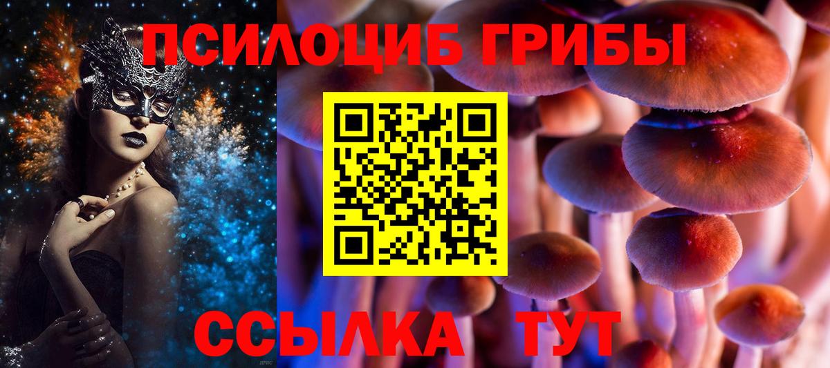 Галлюциногенные грибы GOLDEN TEACHER Касимов