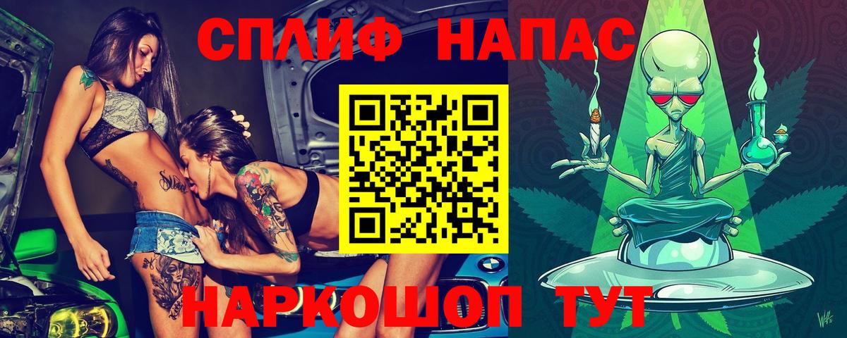 Бошки Шишки Касимов