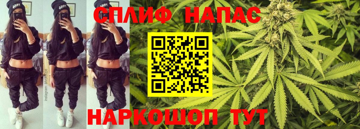 Бошки марихуана тримм  Вход с VPN  Касимов  МАРИХУАНА MAZAR  Конопля Bruce Banner  Бошки марихуана семена 